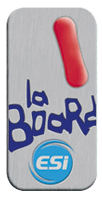 Médaille de snowboard vermeil esi
